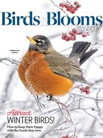 Birds and Blooms Extra